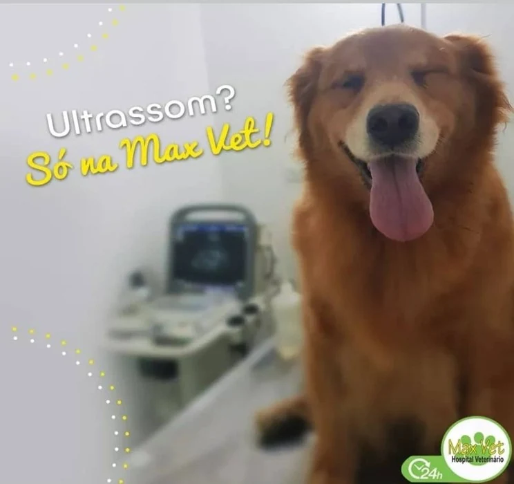 Ultrassom veterinário Max Vet